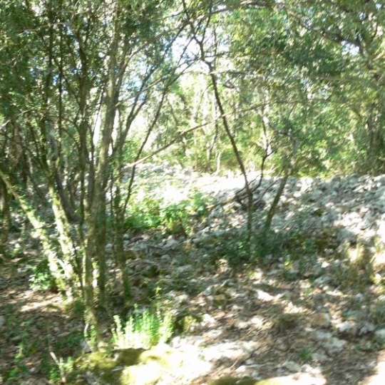 ICI-TERRAINS : Ground | SAINT-ANDRE-DE-ROQUEPERTUIS (30630) | m2 | 105 000 € ICI-TERRAINS : Ground | SAINT-ANDRE-DE-ROQUEPERTUIS (30630) | m2 | 105 000 €