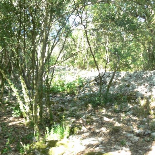  ICI-TERRAINS : Terrain | SAINT-ANDRE-DE-ROQUEPERTUIS (30630) | 0 m2 | 105 000 € 